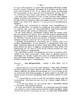 giornale/NAP0034863/1905/unico/00000262