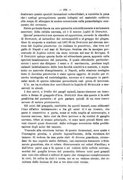 Il morgagni giornale indirizzato al progresso della medicina. Parte 2., Riviste