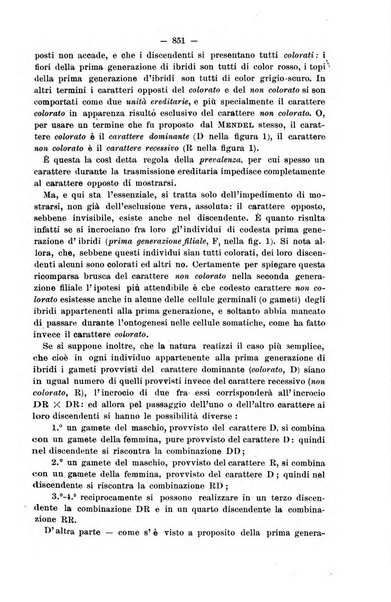 Il morgagni giornale indirizzato al progresso della medicina. Parte 2., Riviste