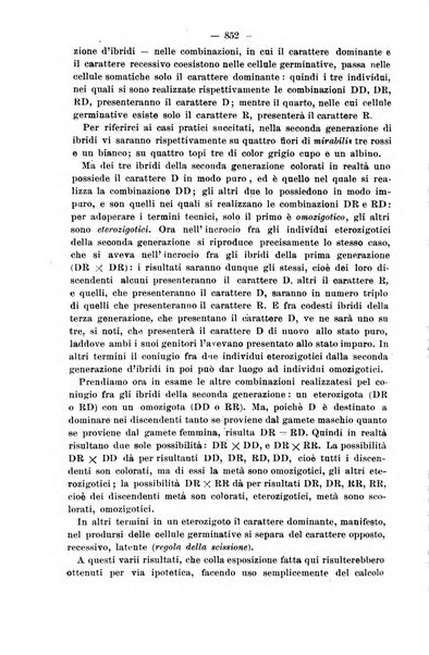 Il morgagni giornale indirizzato al progresso della medicina. Parte 2., Riviste