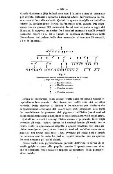 Il morgagni giornale indirizzato al progresso della medicina. Parte 2., Riviste