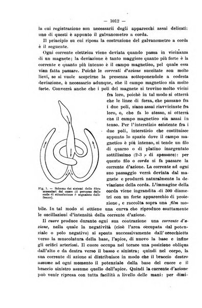 Il morgagni giornale indirizzato al progresso della medicina. Parte 2., Riviste