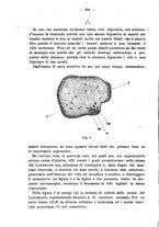 giornale/NAP0034863/1912/unico/00000490