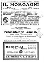 giornale/NAP0034863/1913/unico/00000389