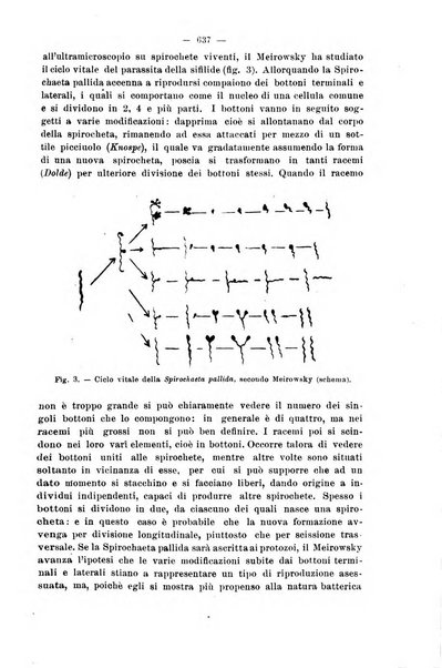 Il morgagni giornale indirizzato al progresso della medicina. Parte 2., Riviste