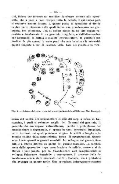 Il morgagni giornale indirizzato al progresso della medicina. Parte 2., Riviste