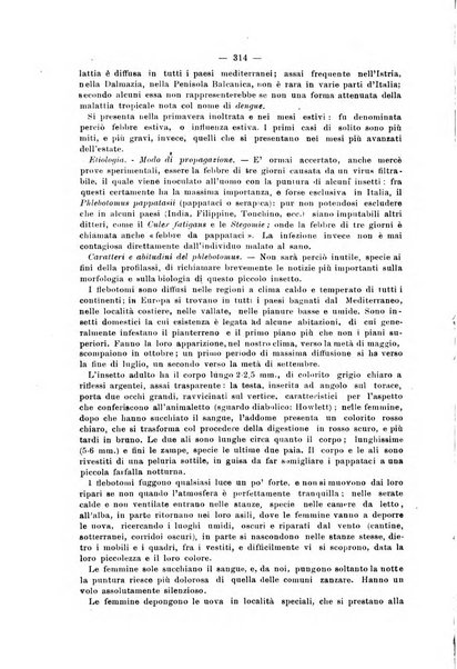 Il morgagni giornale indirizzato al progresso della medicina. Parte 2., Riviste