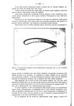 giornale/NAP0034872/1924/unico/00000452