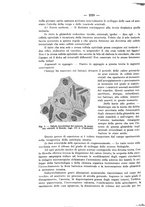 giornale/NAP0034872/1924/unico/00001324