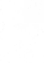 giornale/NAP0034872/1925/unico/00000003