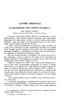 giornale/NAP0034872/1928/P.1/00000337