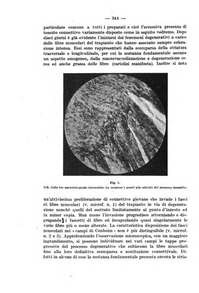 Il morgagni rivista settimanale