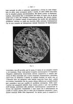 giornale/NAP0034872/1928/P.1/00000409