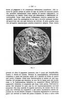 giornale/NAP0034872/1928/P.1/00000411