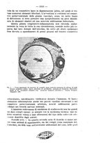 giornale/NAP0034872/1928/P.2/00000139