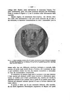 giornale/NAP0034872/1929/P.3/00000011