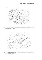 giornale/NAP0034872/1931/P.2/00000071