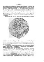 giornale/NAP0034872/1931/P.2/00000073