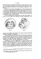 giornale/NAP0034872/1931/P.2/00000075