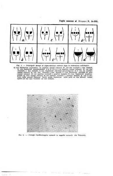 Il morgagni rivista settimanale