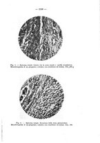 giornale/NAP0034872/1931/P.2/00001019