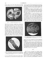 giornale/NAP0034872/1933/P.1/00000160