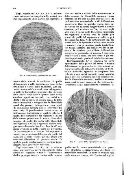 Il morgagni rivista settimanale