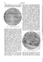 giornale/NAP0034872/1933/P.1/00000486
