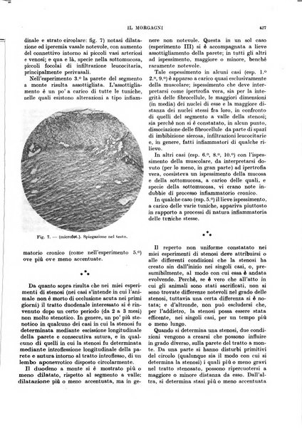 Il morgagni rivista settimanale