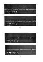 giornale/NAP0034872/1933/P.1/00000523