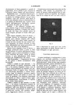 giornale/NAP0034872/1933/P.1/00000741