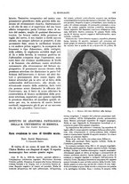 giornale/NAP0034872/1934/P.1/00000715
