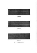 giornale/NAP0034872/1935/unico/00000244