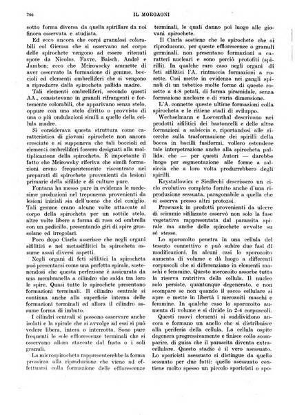 Il morgagni rivista settimanale