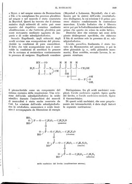 Il morgagni rivista settimanale