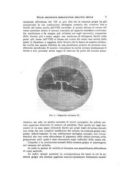 Rivista di neurologia