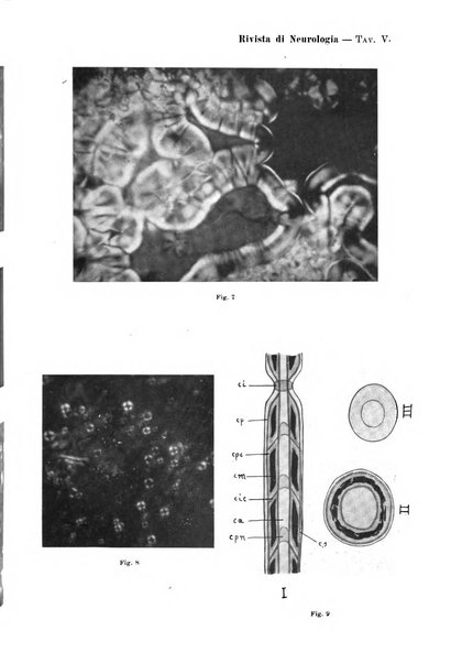 Rivista di neurologia