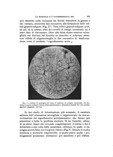 Rivista di neurologia