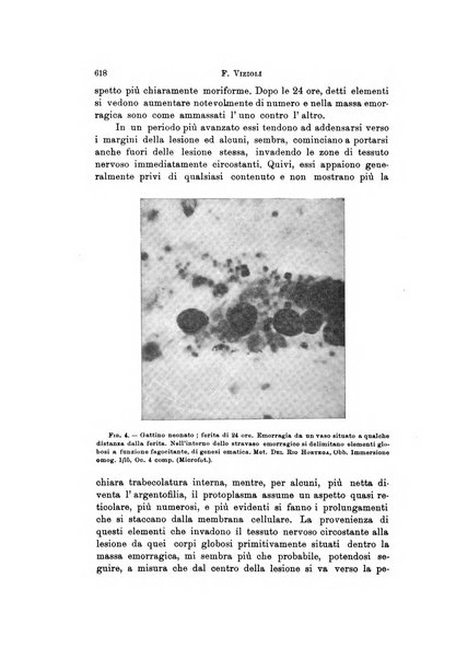 Rivista di neurologia