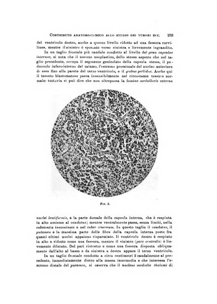 Rivista di neurologia