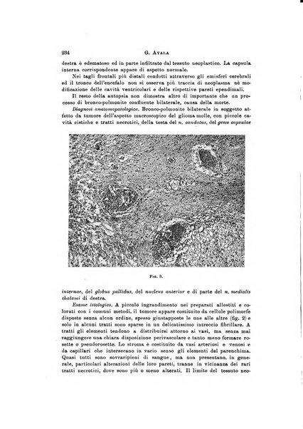 Rivista di neurologia