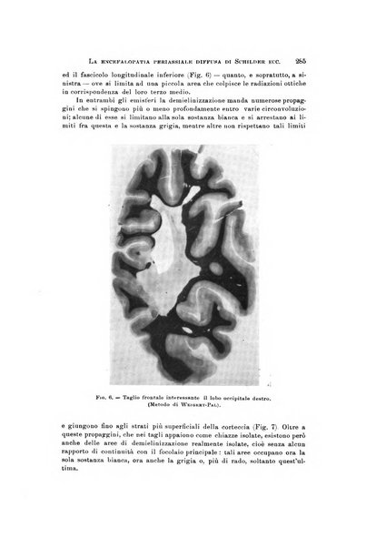 Rivista di neurologia