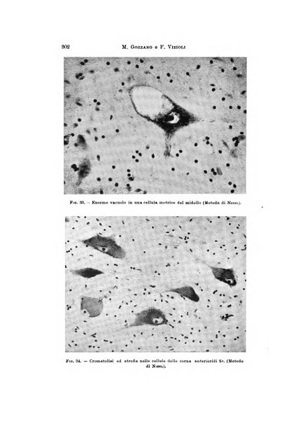 Rivista di neurologia