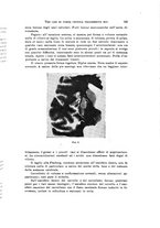 giornale/NAP0076295/1933/unico/00000177