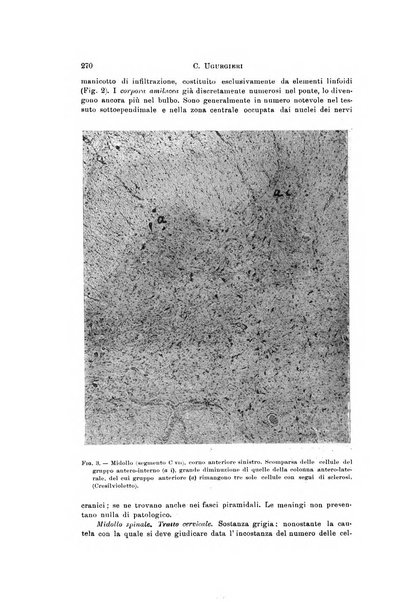 Rivista di neurologia