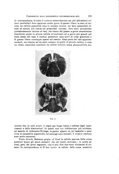 Rivista di neurologia