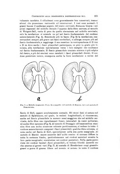 Rivista di neurologia