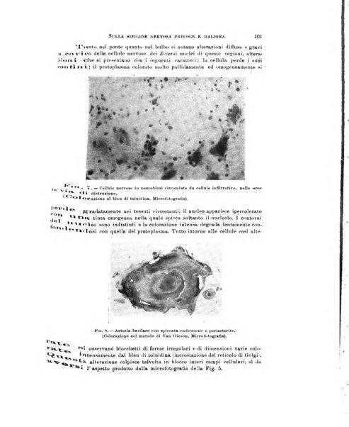 Rivista di neurologia