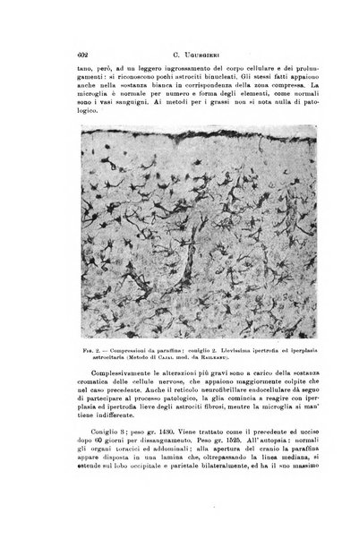 Rivista di neurologia