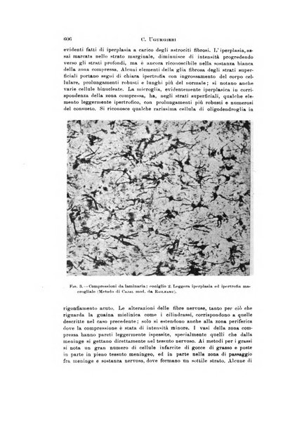 Rivista di neurologia